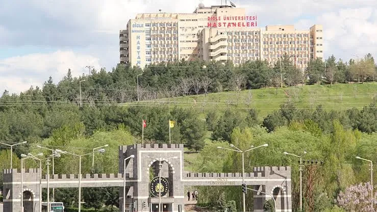 Diyarbakır’da Bir Genç Daha Hayata Veda Etti: Sena Düzgün’ün Ardında Bıraktığı Sessizlik