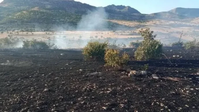 Dicle’de Trafo Yangını: 100 Dönüm Ekili Arazi Kül Oldu